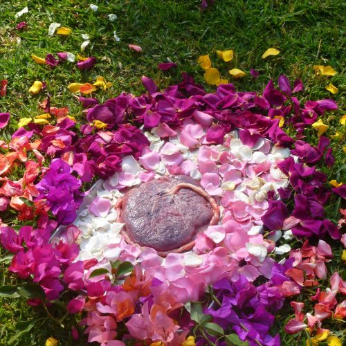 ritualplacenta (2)